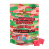 watermelon gum